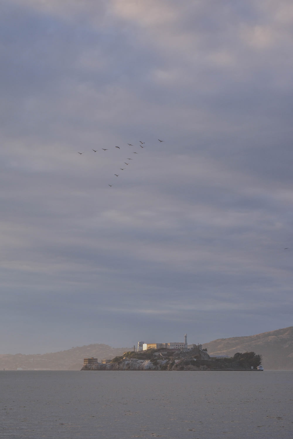 birds flying on v formation over Alcatraz