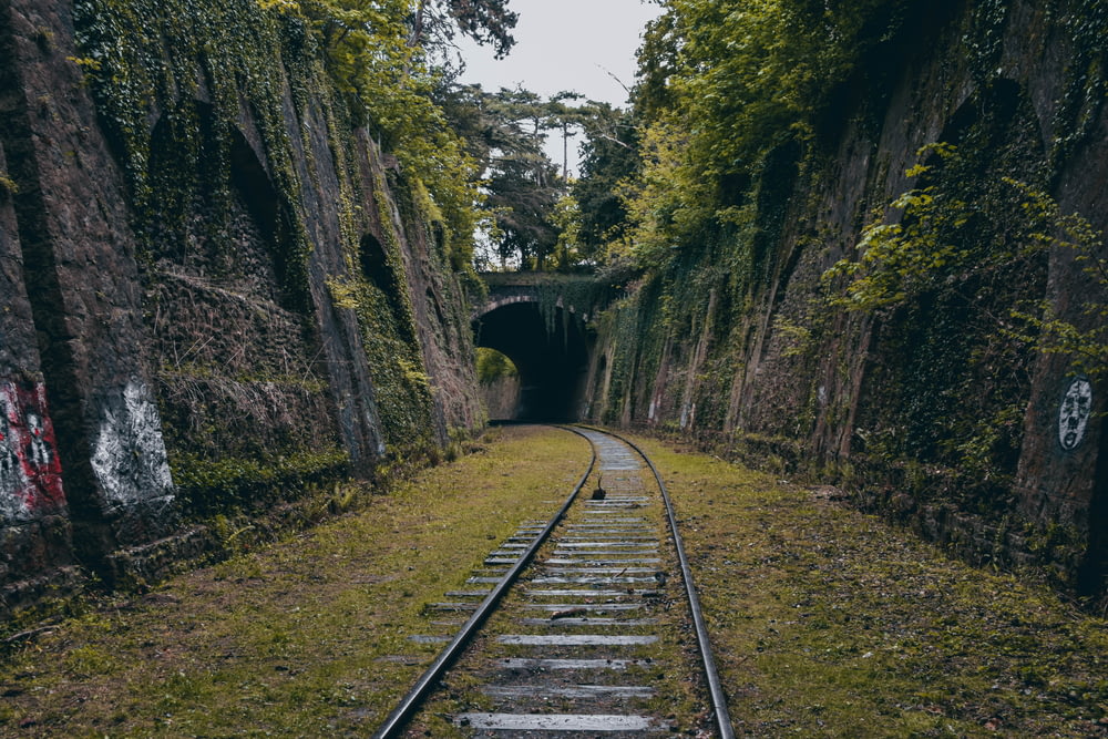um trilho de trem passando por um túnel com pichações