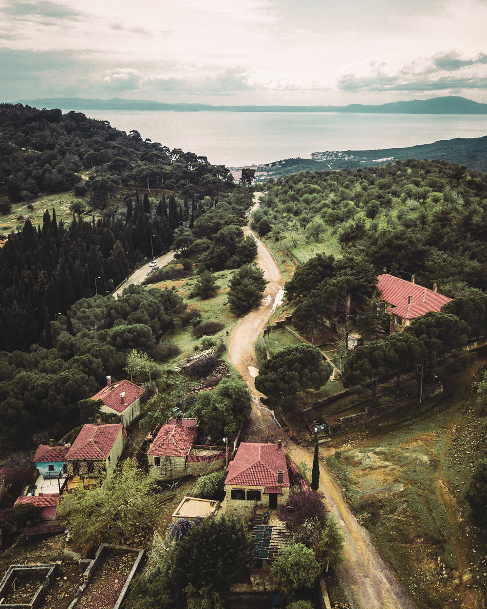 houses and green trees in aerial photography