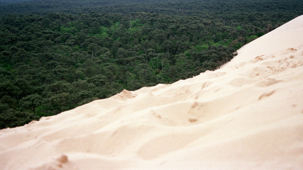 high-angle photography of white sand and green leafed trees