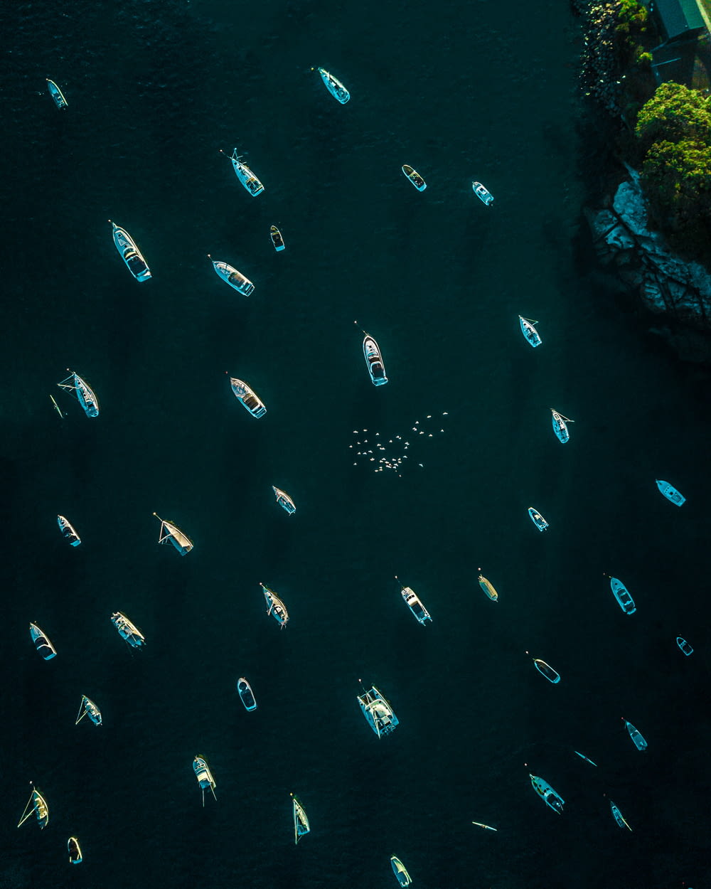 boats on body of water