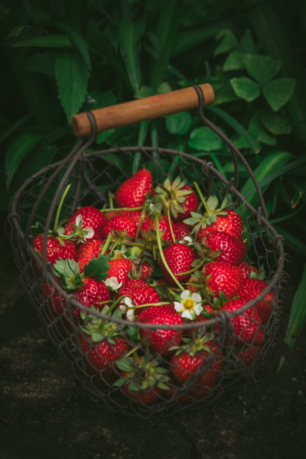 strawberries in metal basket