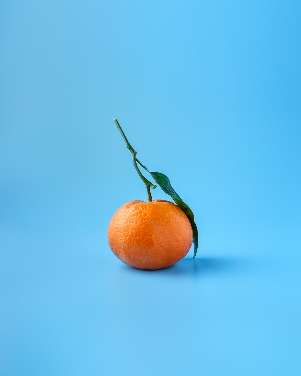 Orangenfrucht