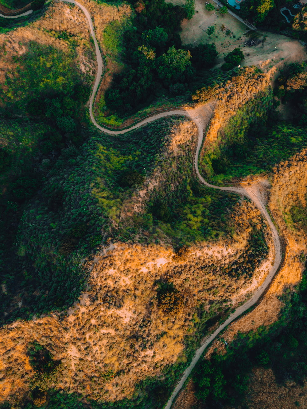 empty road between trees in aerial photography