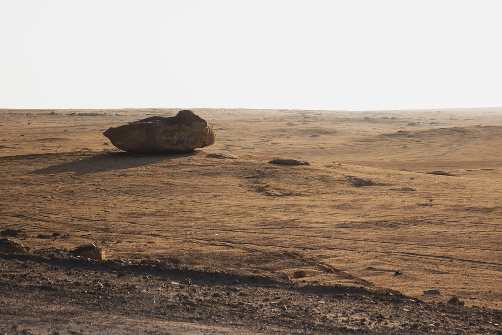brown rock in middle of desert