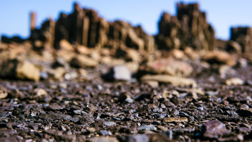 selective focus photography of stones near cliff during daytime