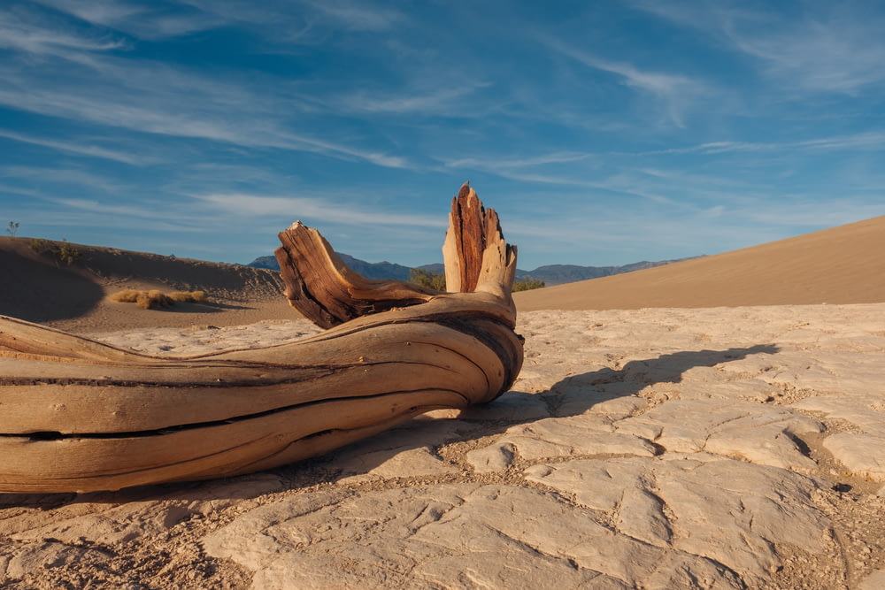 a large piece of drift wood sitting on top of a sandy beach
