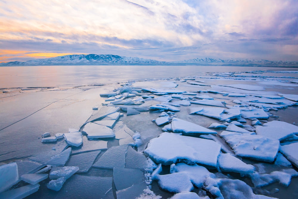 landscape photography of ice field