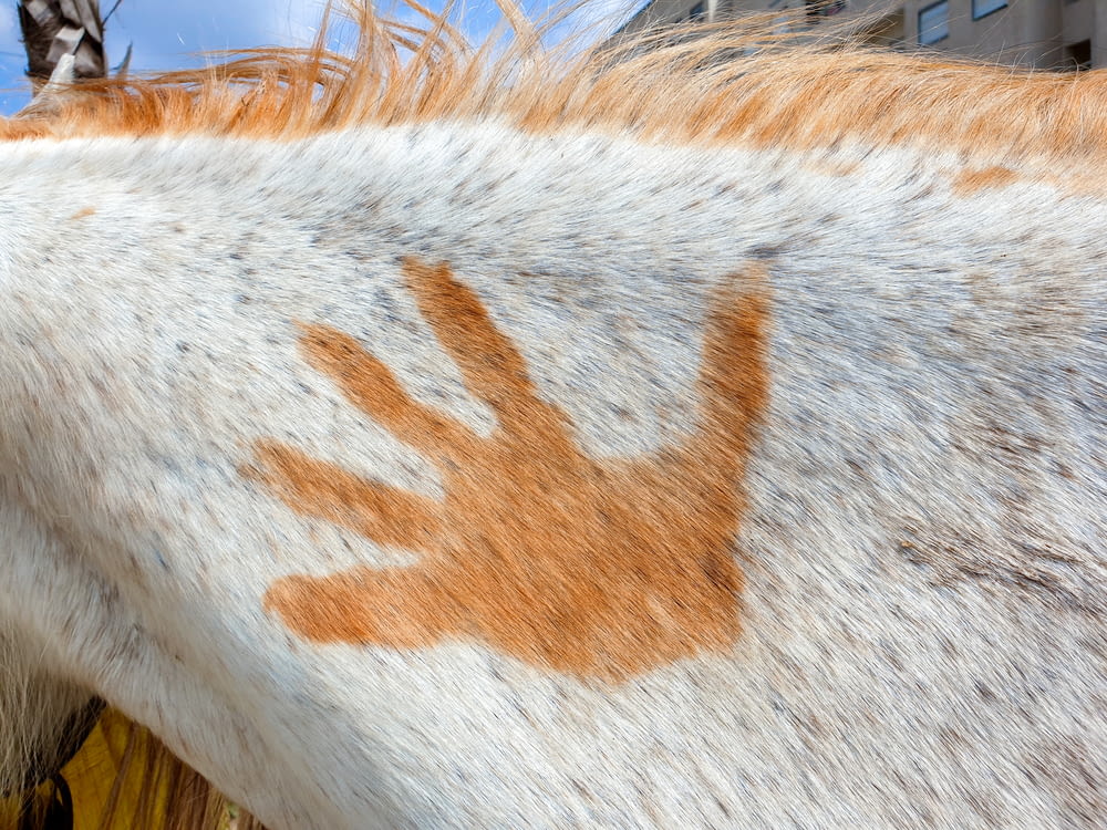 a close up of a horse with a hand print on it