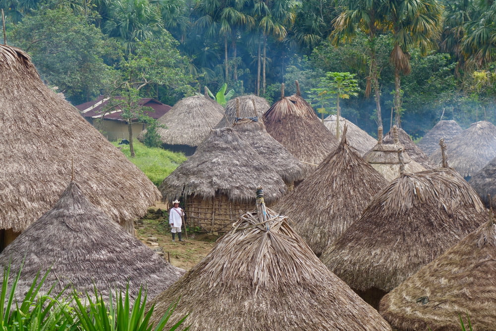 nipa huts between forest