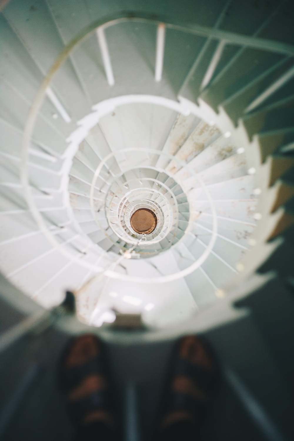 person standing on spiral staircase