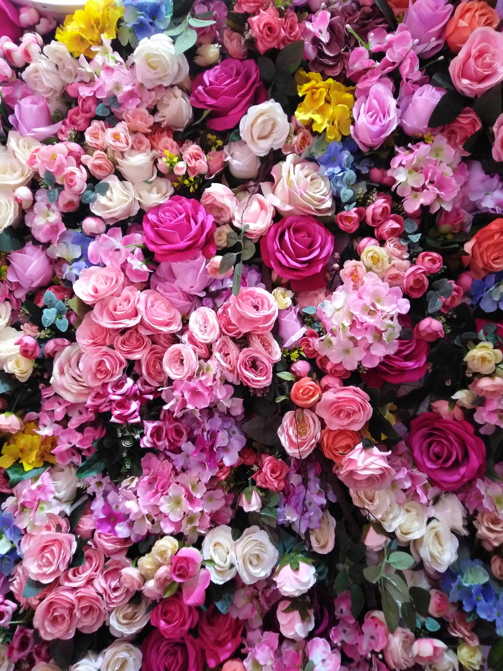 flores rosas de cores variadas