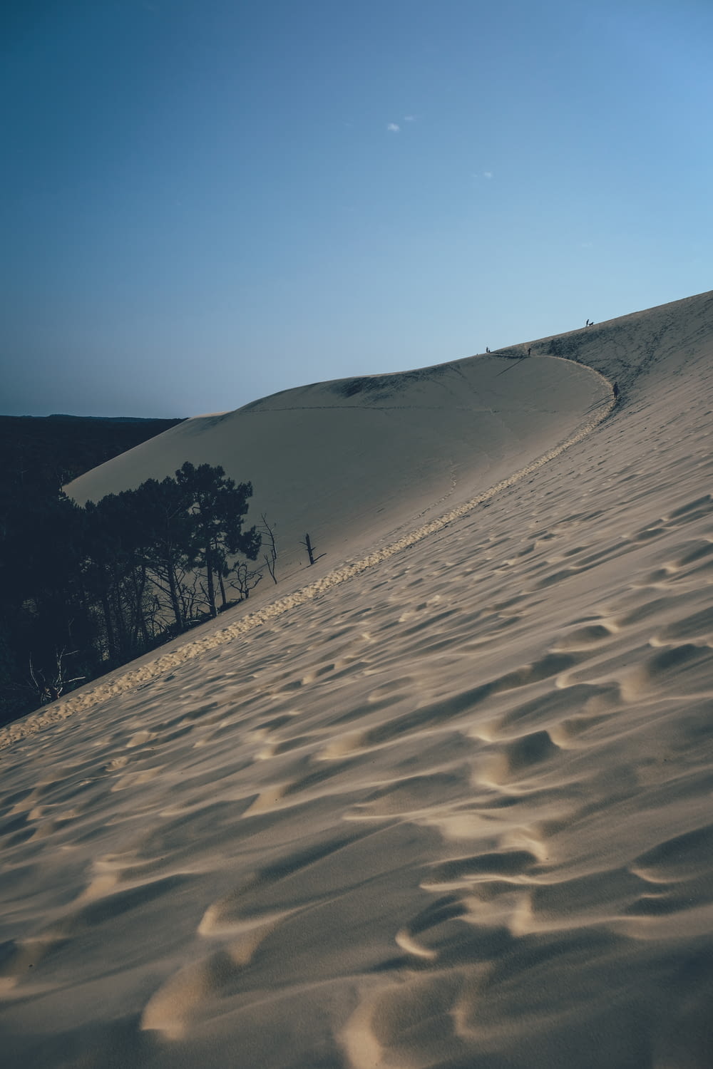 dune sand scenery