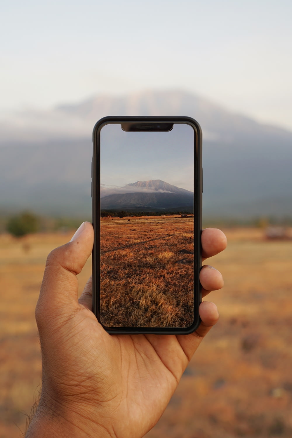 black smartphone on brown field
