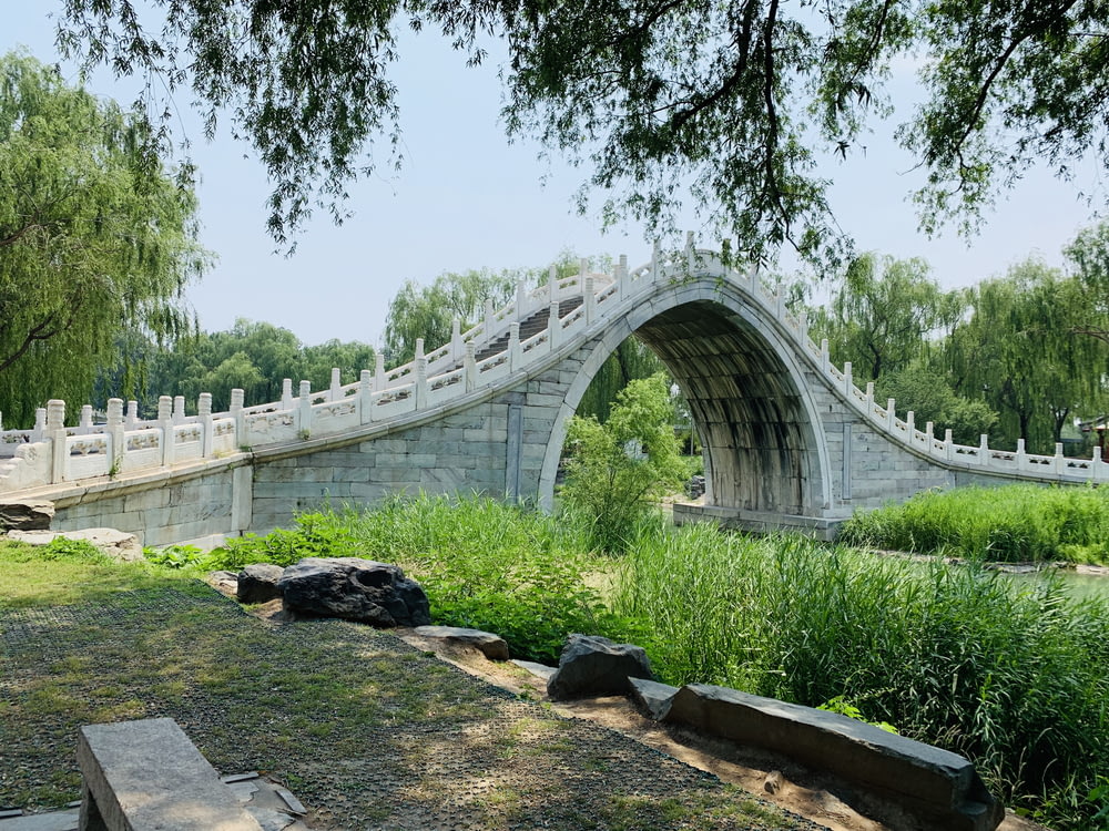 ponte vicino al giardino