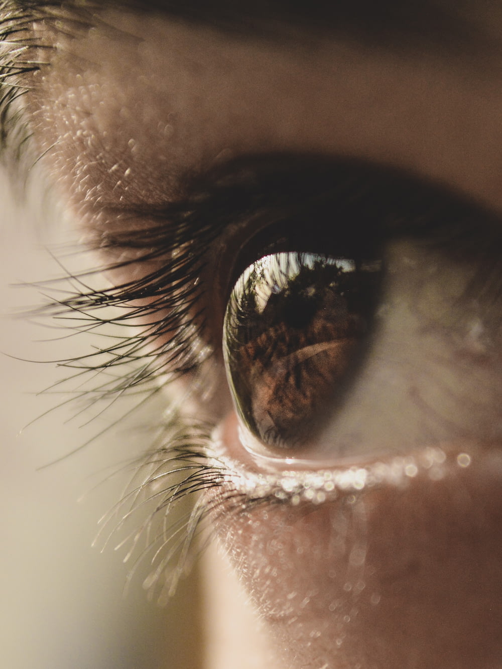 fotografia de close-up do olho humano