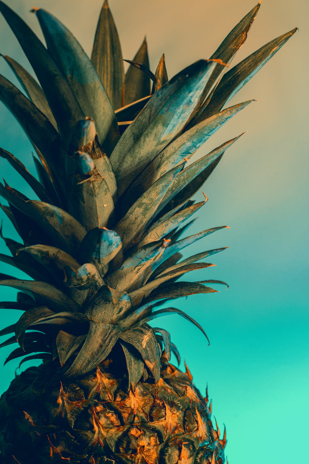 yellow pineapple with blue background