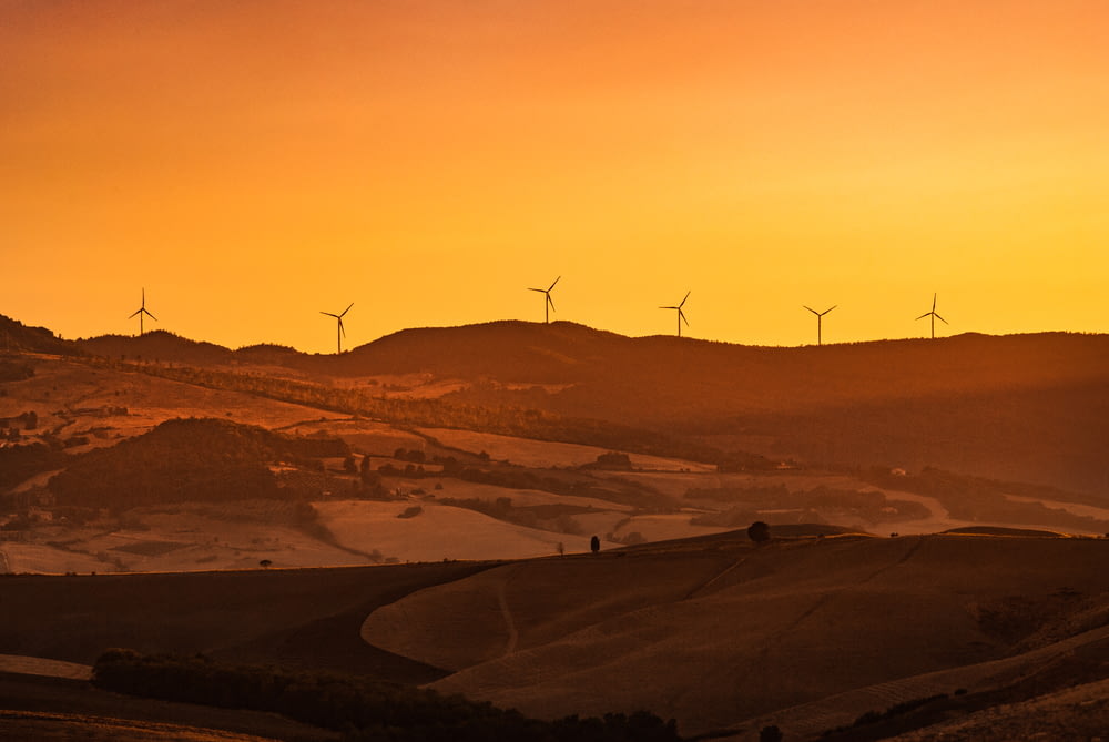 lined wind mills during golden hour
