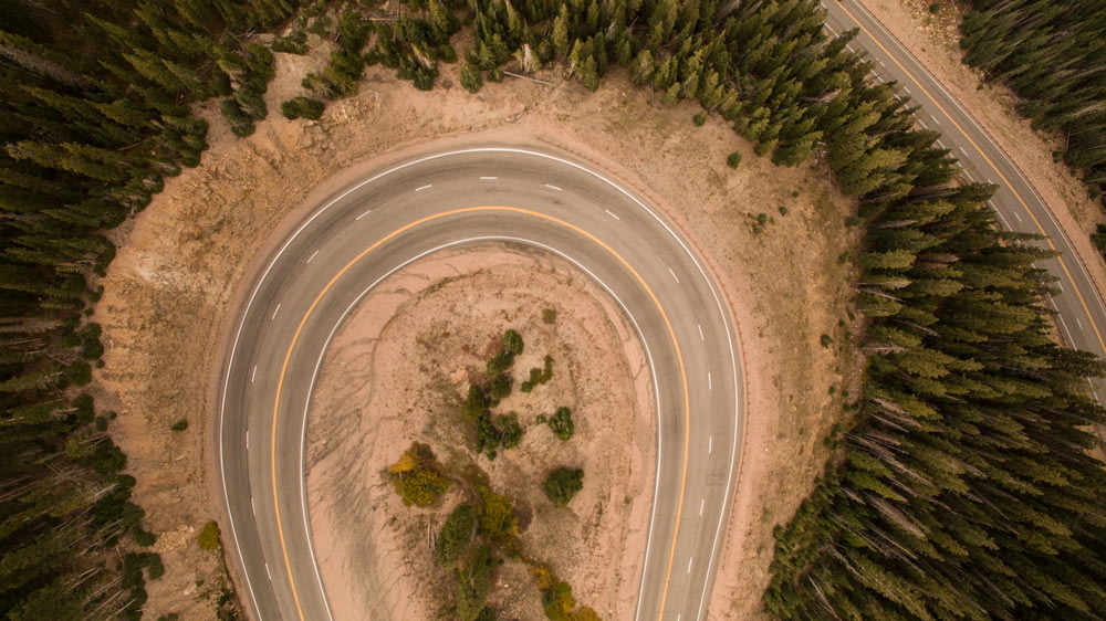 aerial view of trees and road