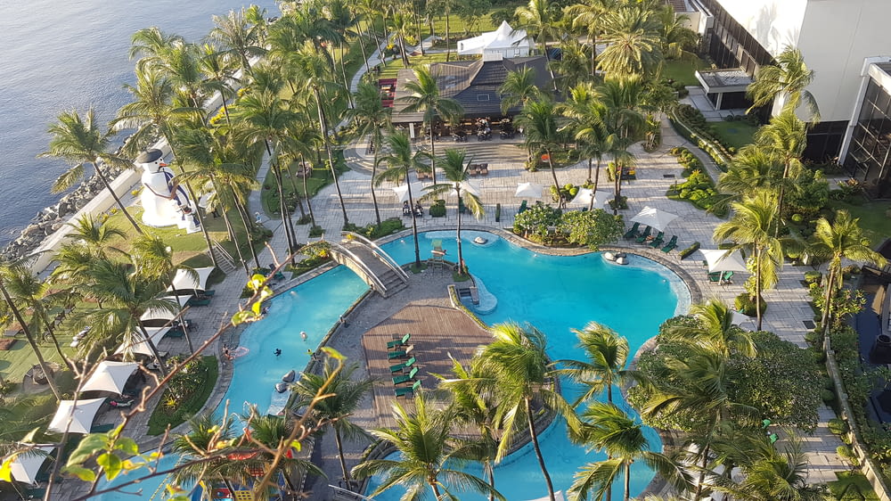 aerial photo of palm trees around outdoor pool in beach