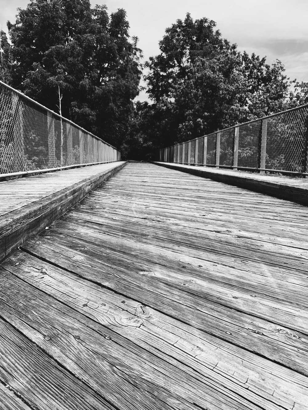grayscale photo of wooden pathway