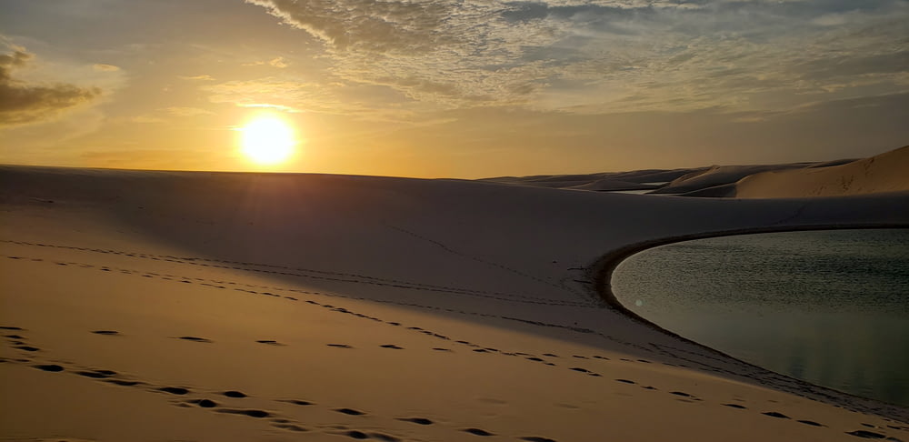 silhouette photo of desert