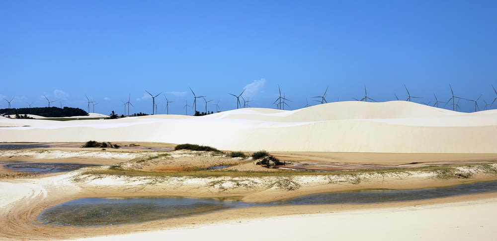 windmills in white sand beach