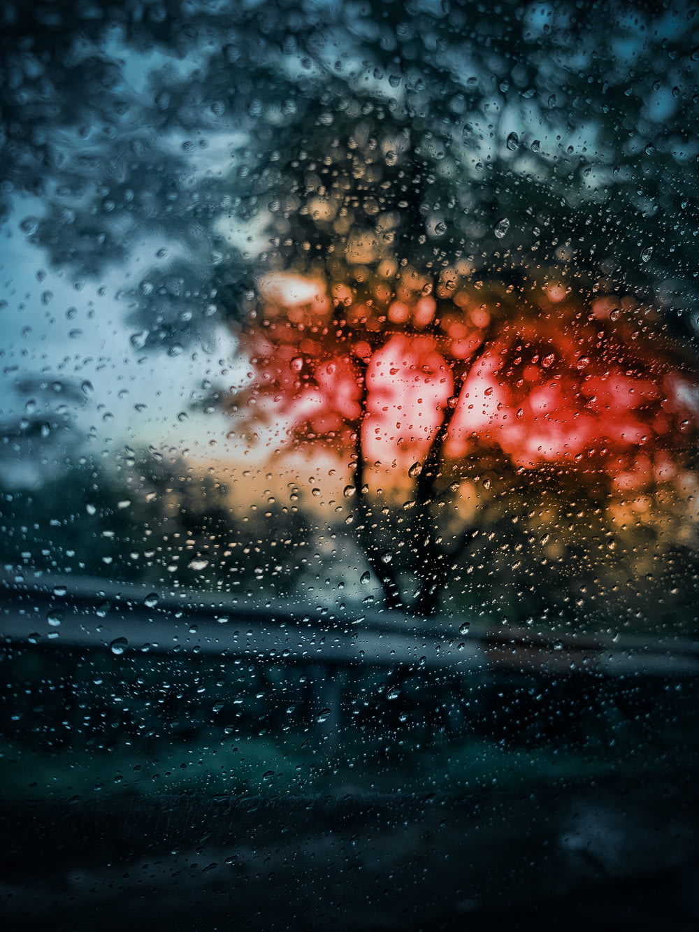 a view of a tree through a rain covered window
