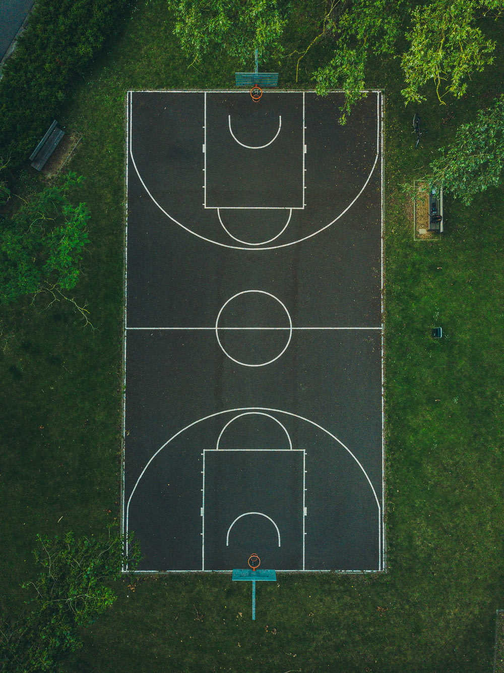 basketball court between trees