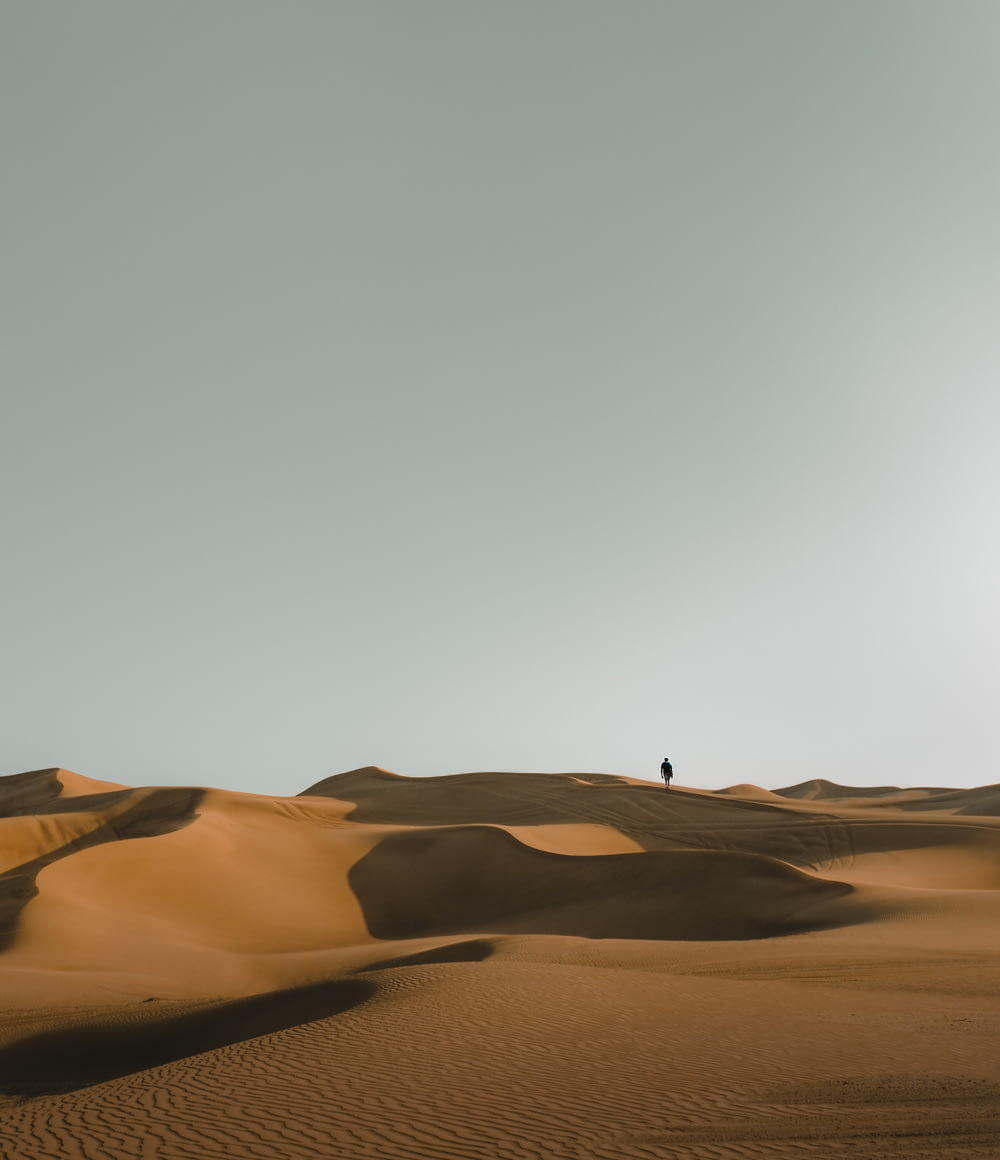 silhouette d’une personne dans le désert pendant la journée