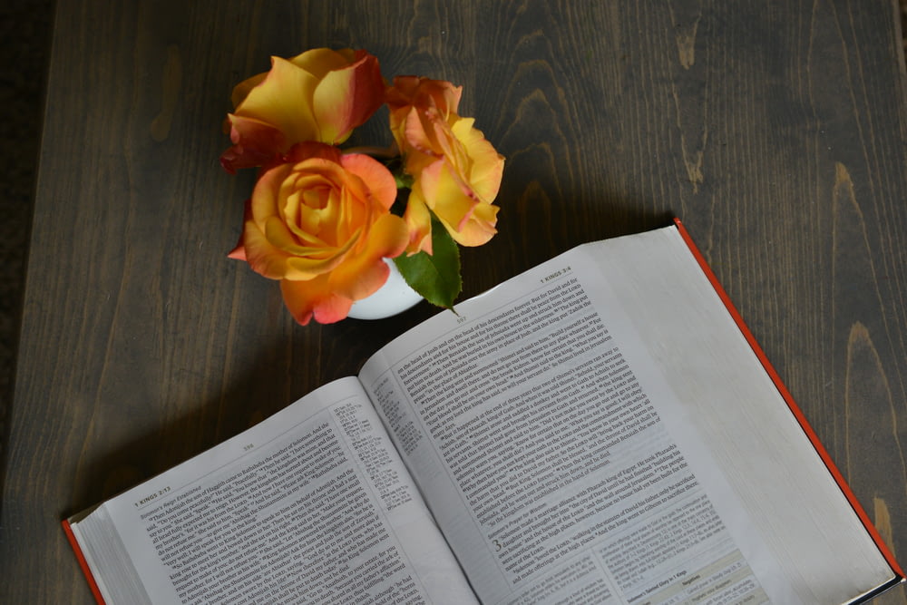 yellow-and-orange rose flowers beside opened book