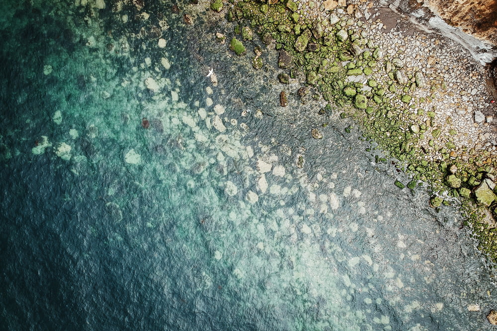 stone near body of water during daytime top-view photography