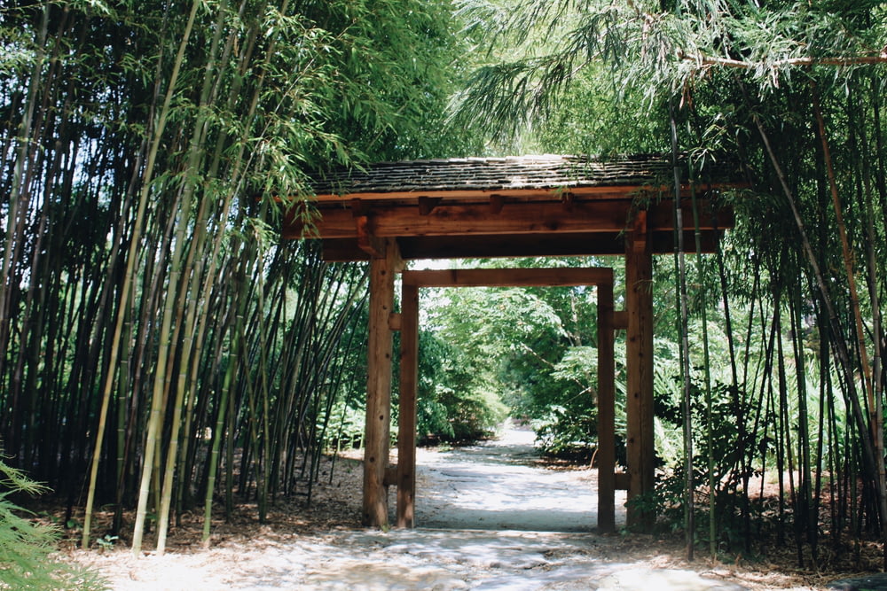 portão de madeira marrom perto de árvores de bambu