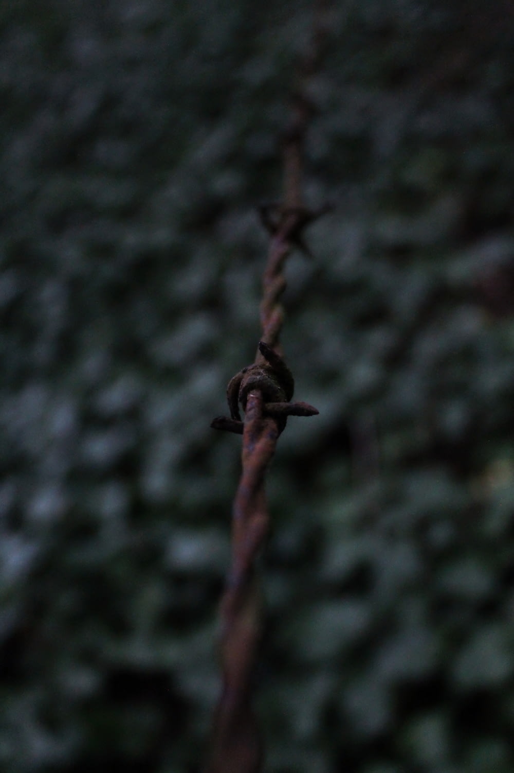 alambre de púas oxidado