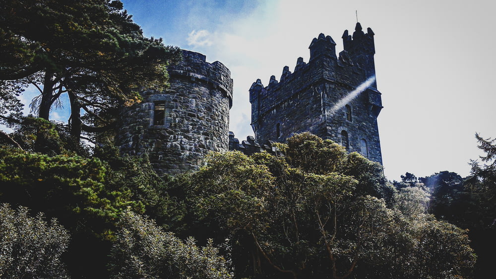 low-angle photography of gray castle surrounded by trees