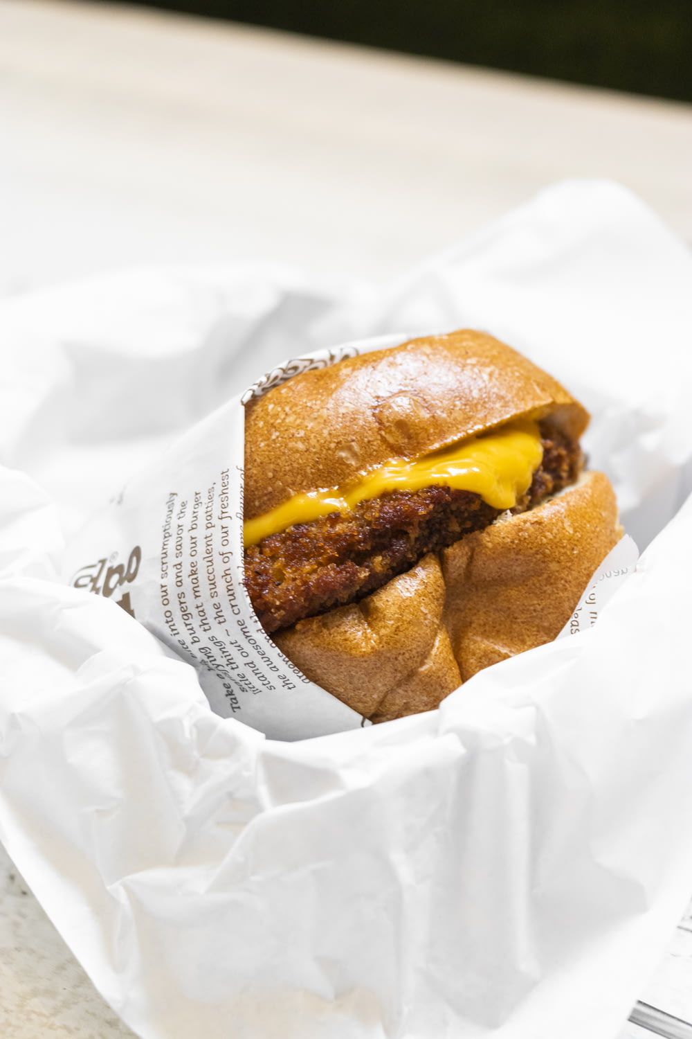 cheese burger on focus photogaphy