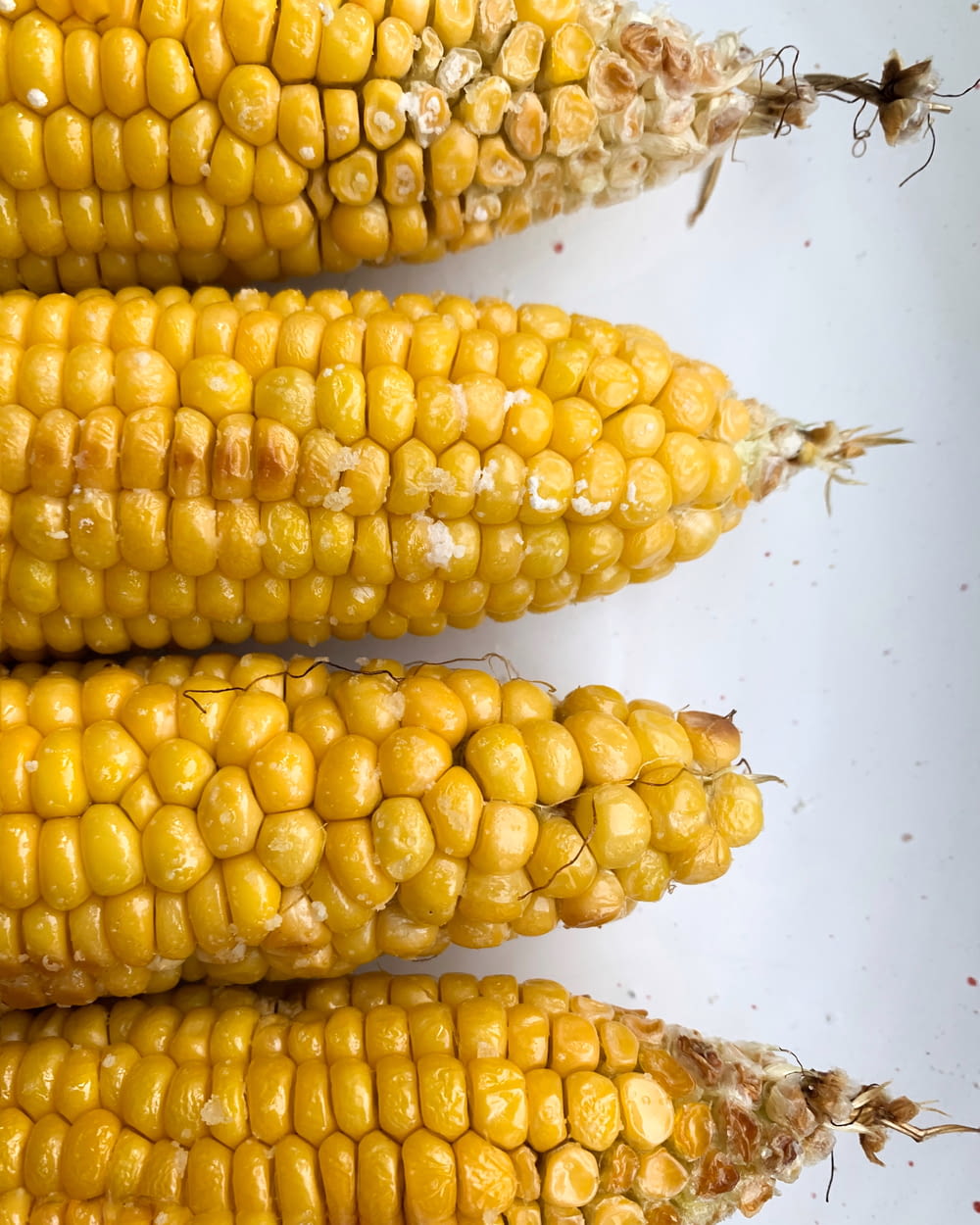 three ears of corn on a white surface