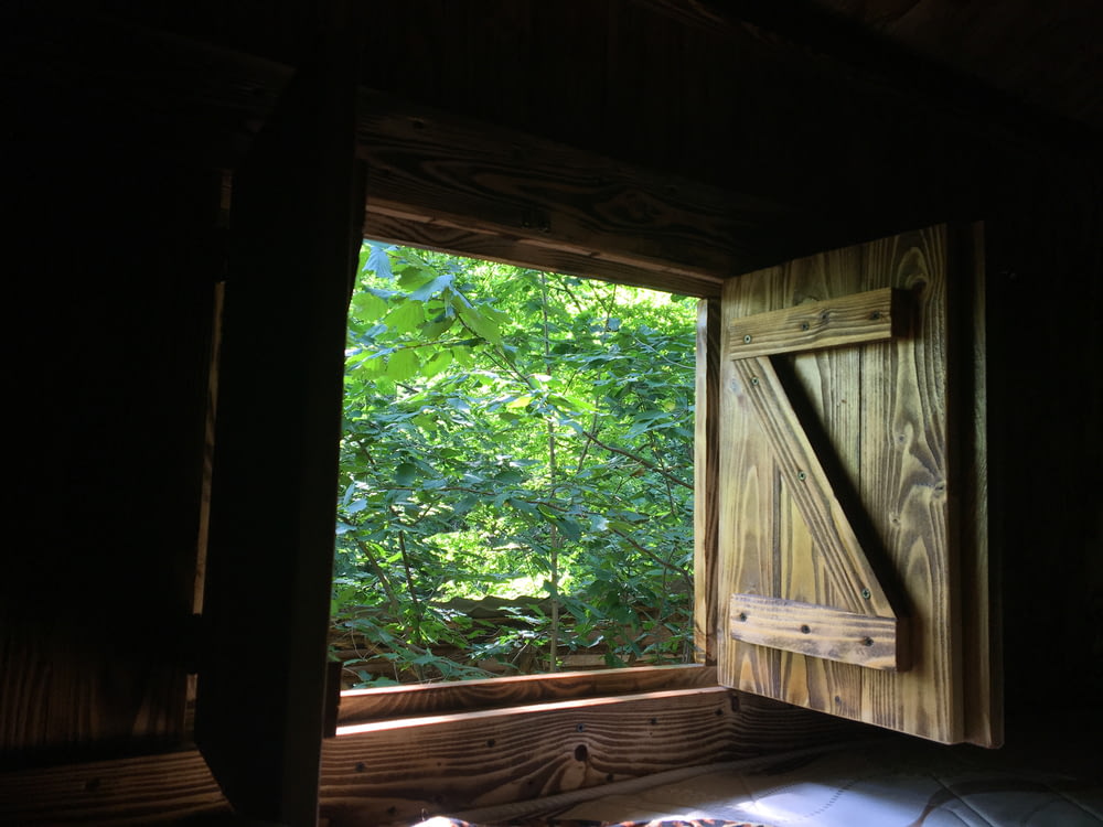 open brown wooden window facing trees