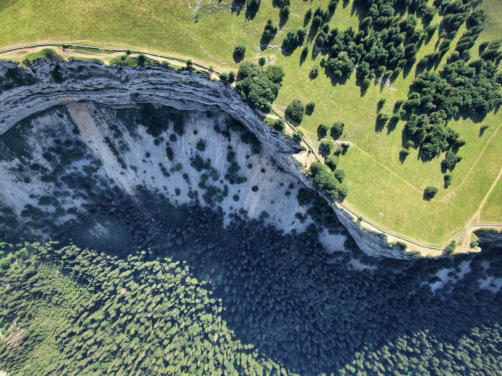 Foto de ángulo alto de árboles verdes cerca del acantilado