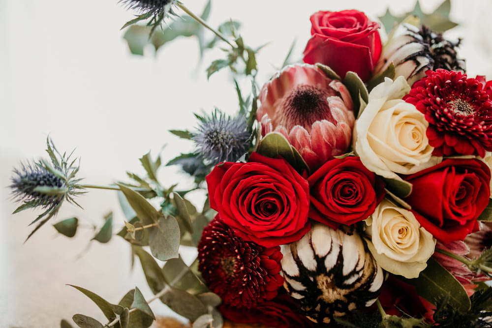 red and white rose bouquet
