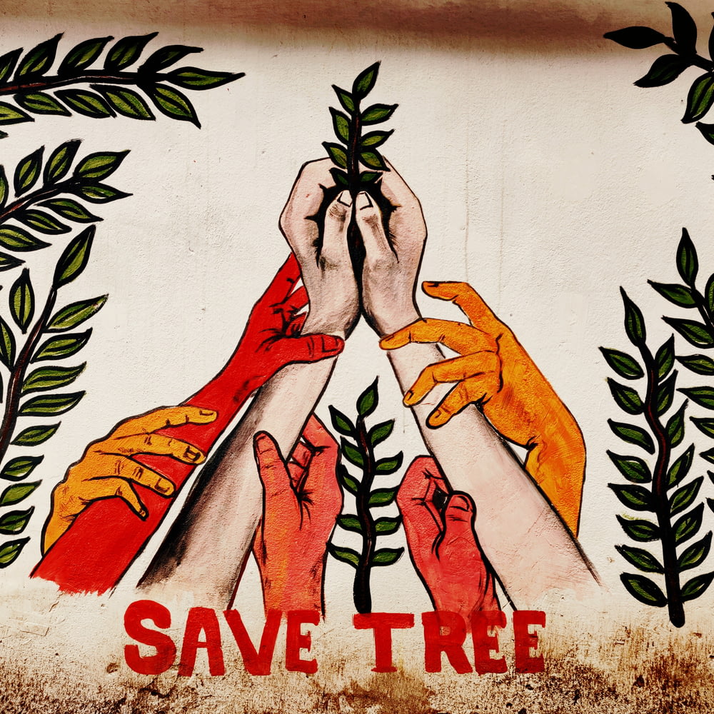 save tree wall paint