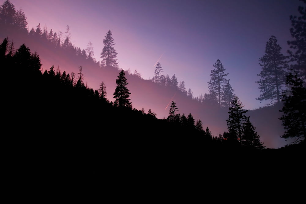 Un cielo viola con alberi sul fianco di una collina