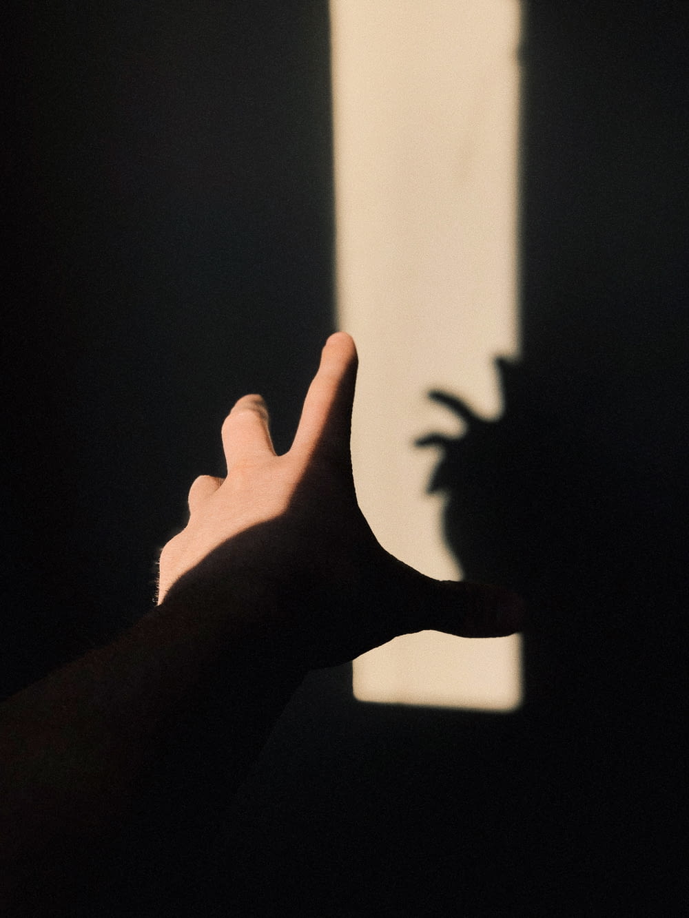 a shadow of a hand reaching towards a wall