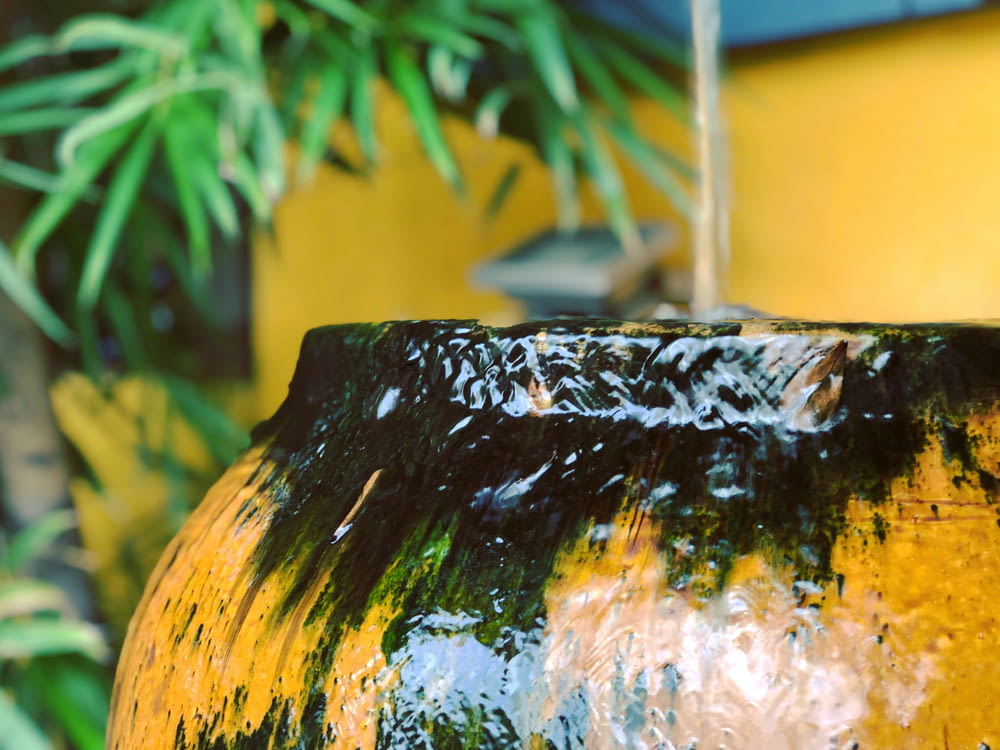 a yellow and black vase sitting next to a green plant