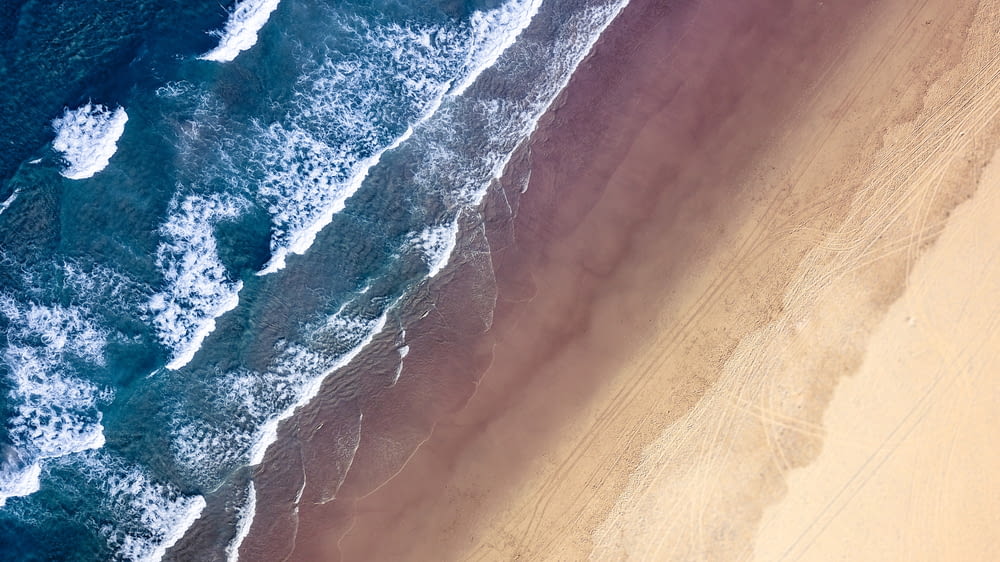 aerial photo of shore