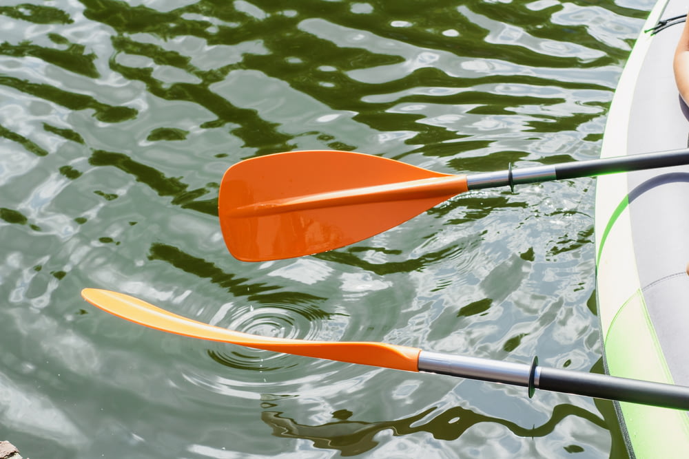 Un par de kayaks flotando sobre un cuerpo de agua