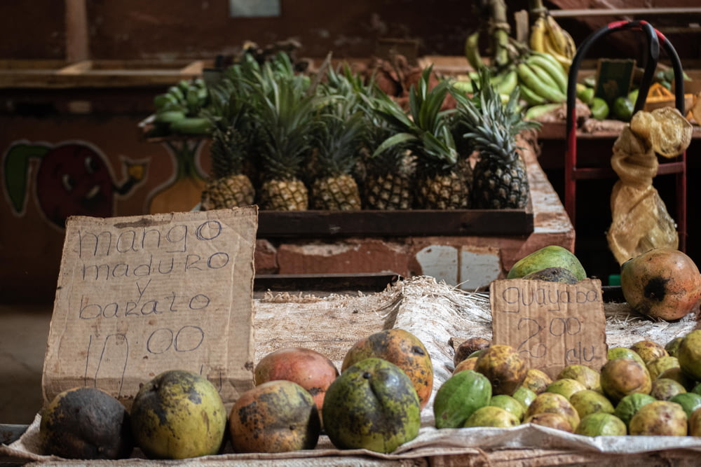 assorted fruits on display with prices