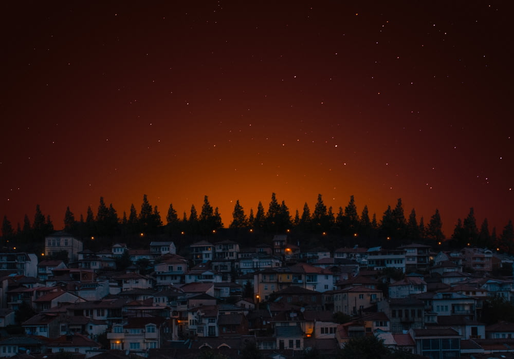 houses and trees during nighttime