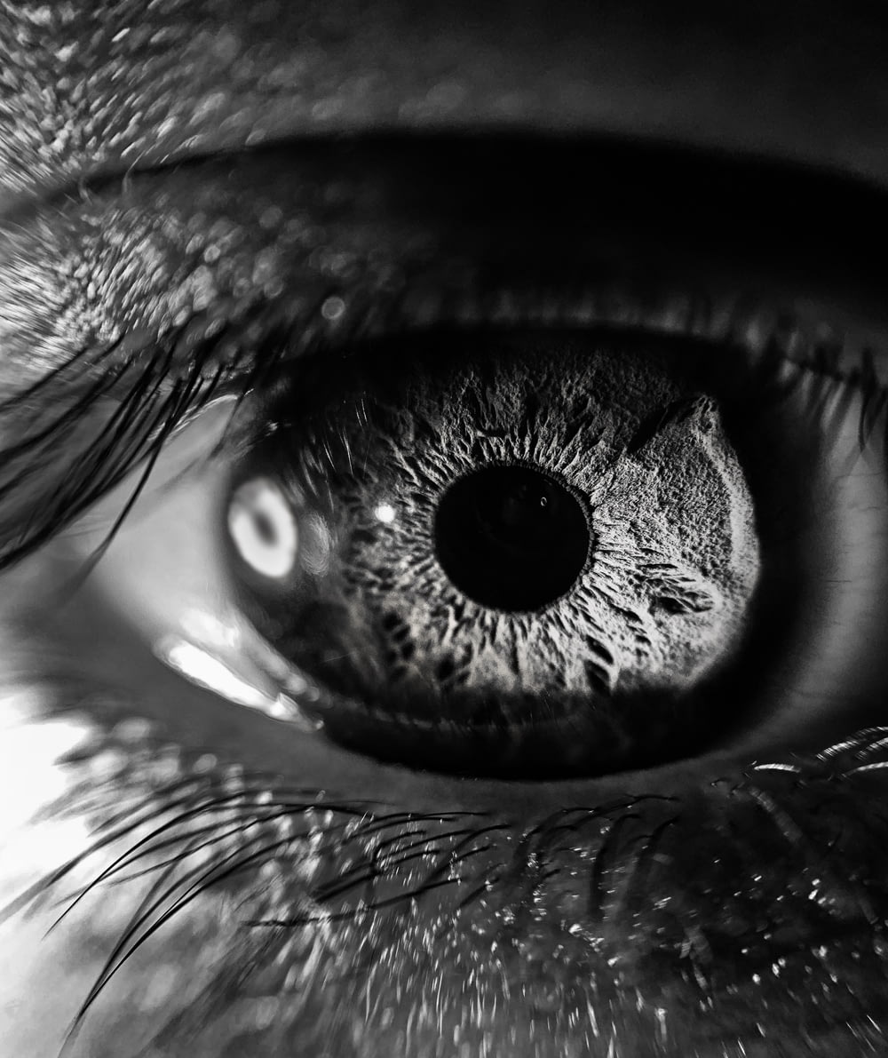 grayscale photography of person's eye