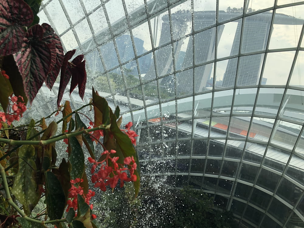interior of a greenhouse in Singapore